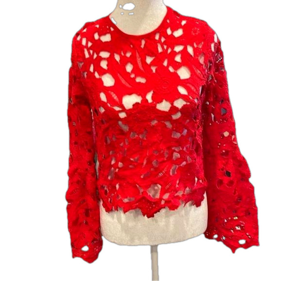 Red S/M cutwork lacy crop top with wide sleeves from above wrist buttons at neck - Picture 1 of 7